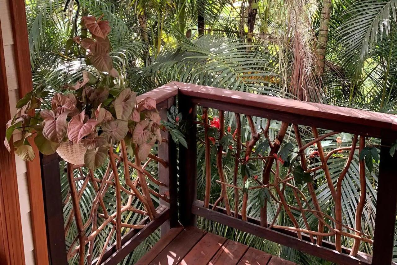 Phoenix Garden Pahoa Dış mekan fotoğraf