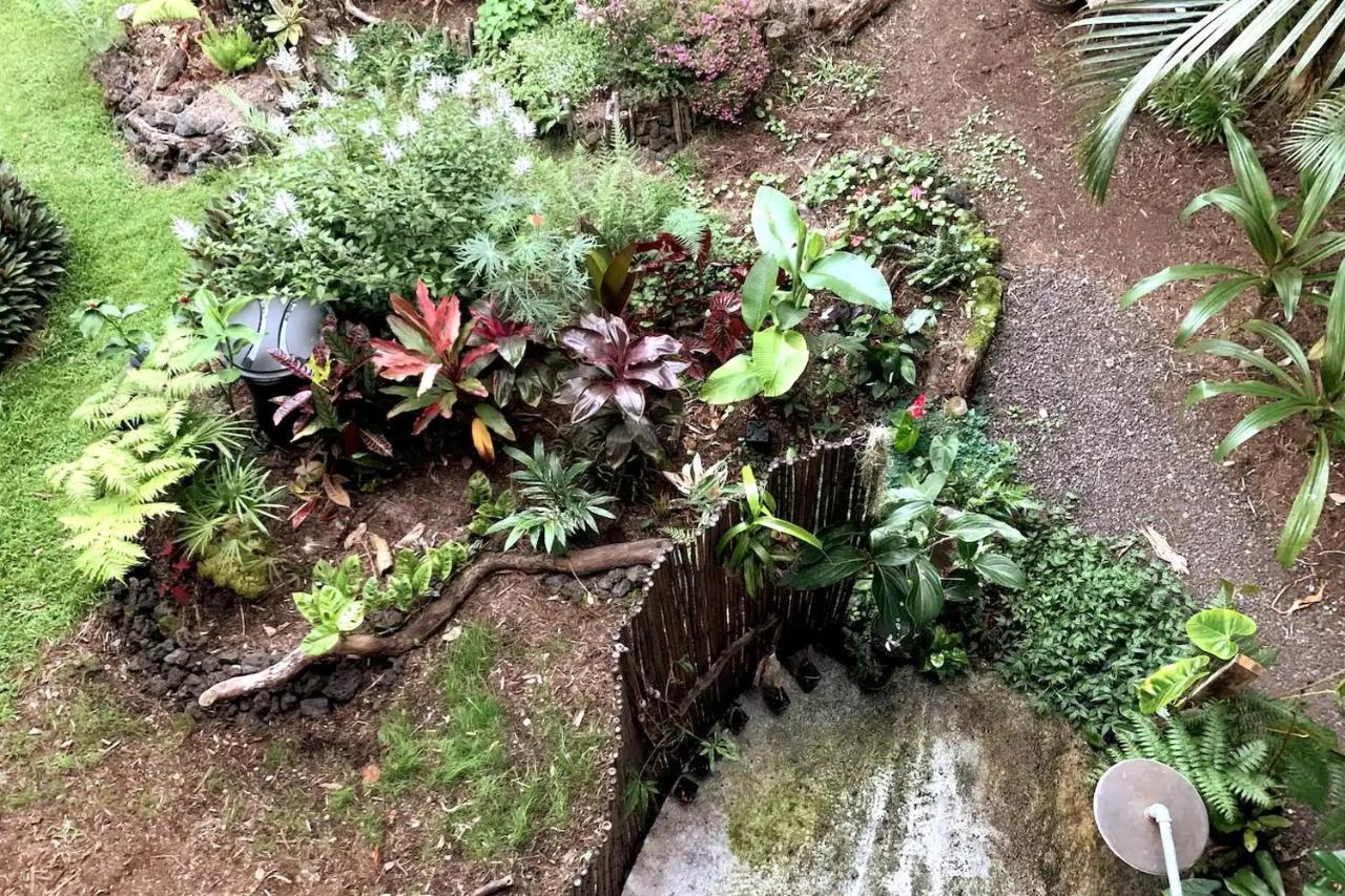 Phoenix Garden Pahoa Dış mekan fotoğraf