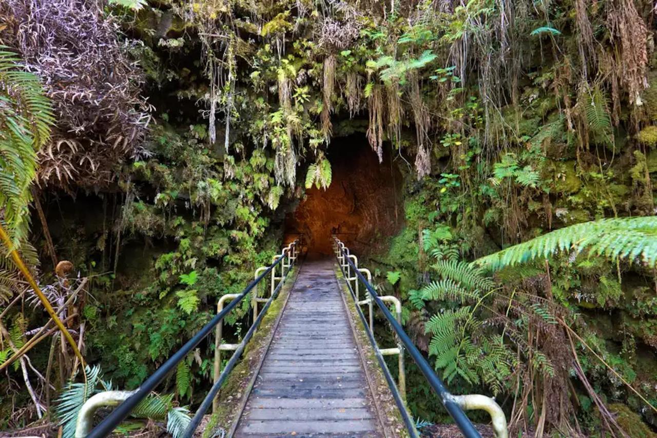 Phoenix Garden Pahoa Dış mekan fotoğraf